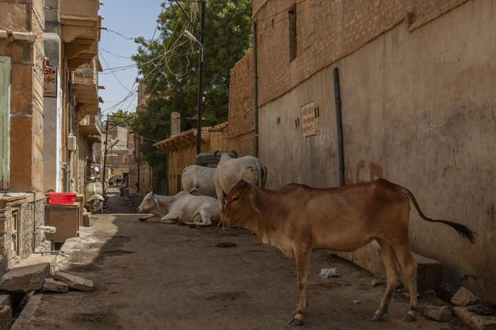 52 - India - Jaisalmer